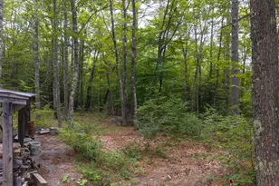 616 Tyler Rd, Webster, NH 03303 - Photo 36