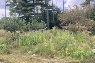 839 US Route 4, Canaan, NH 03741 - Photo 34