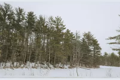 179 Chickville Road, Ossipee, NH 03864 - Photo 2