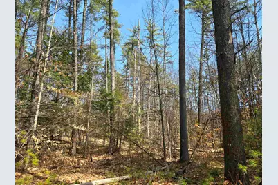 179 Chickville Road, Ossipee, NH 03864 - Photo 8
