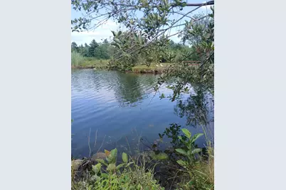461 Bog Road, Enfield, NH 03748 - Photo 2
