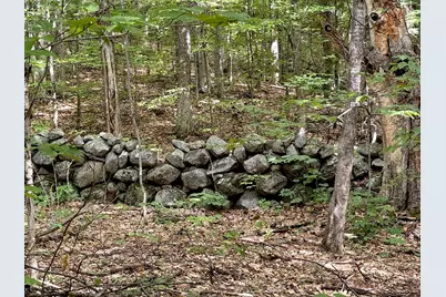 Poor Farm Road, Alexandria, NH 03222 - Photo 16