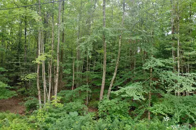 0 Guide Board Hill Road, Webster, NH 03303 - Photo 2