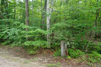 0 Guide Board Hill Road, Webster, NH 03303 - Photo 12