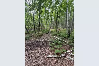 21 Chase Road #Lot 2, Map 11 Block 10, Newton, NH 03858 - Photo 4