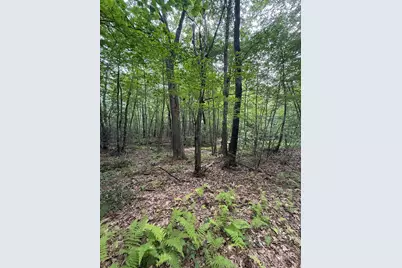 21 Chase Road #Lot 2-1, Map 11, Block 10, Newton, NH 03858 - Photo 6