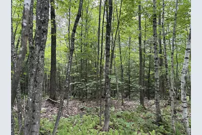 Perkins Hill Road #2, Alexandria, NH 03222 - Photo 16