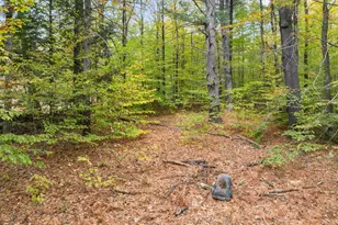 422 Currier Rd, Hill, NH 03243 - Photo 16
