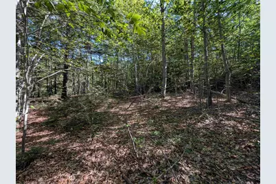 Map 41 Lot 25 Jewett Road, Weare, NH 03281 - Photo 4