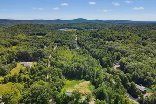 10 Davis Ln, New Boston, NH 03070 - Photo 44