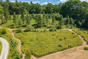 562 Alstead Center Rd, Alstead, NH 03602 - Photo 58