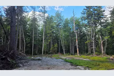 M10 L41 Taylor Circle, Washington, NH 03280 - Photo 22