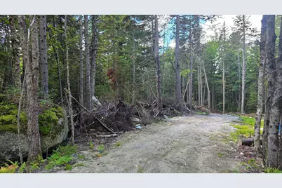 M10 L41 Taylor Circle, Washington, NH 03280 - Photo 1