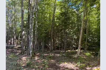 Lot 5 Partridge Road, Jackson, NH 03846 - Photo 1