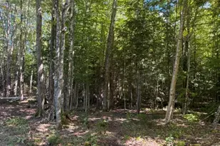 Lot 5 Partridge Rd, Jackson, NH 03846 - Photo 1
