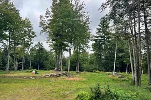 9 Page Rd, Unity, NH 03773 - Photo 4