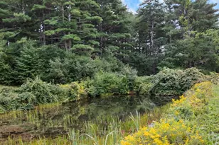 1237 Center Rd, Lyndeborough, NH 03082 - Photo 54