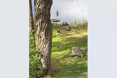 115 French Road E, Sutton, NH 03287 - Photo 58