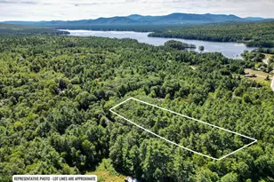 Map 117 Lot 25 Danforth Ln, Madison, NH 03849 - Photo 1