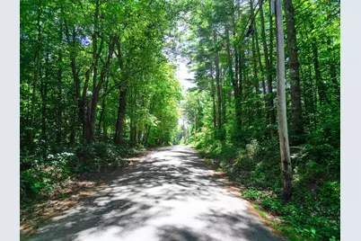 Map 117 Lot 25 Danforth Lane, Madison, NH 03849 - Photo 4