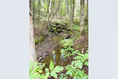 453 Union Road, Dalton, NH 03598 - Photo 32