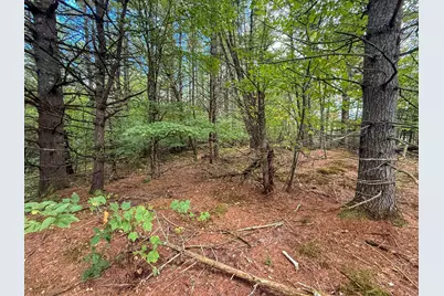 526 New Hampshire Route 25C, Piermont, NH 03779 - Photo 34