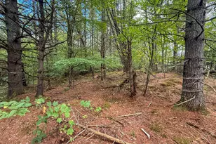 526 New Hampshire Rte 25C, Piermont, NH 03779 - Photo 34