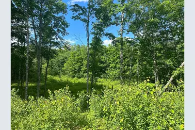 Lot#3 Frescoln Road, Wentworth, NH 03282 - Photo 4