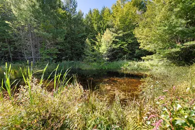 140 Crescent Street, Bristol, NH 03222 - Photo 50
