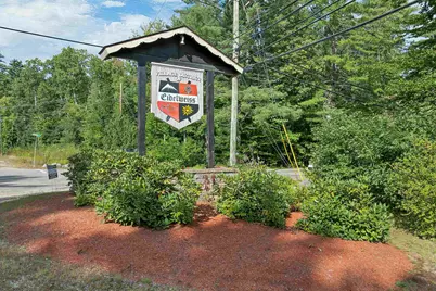 9 Waldsbut Road, Madison, NH 03849 - Photo 1