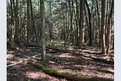0 Storrs Hill Lot#3 Road, Lebanon, NH 03766 - Photo 6