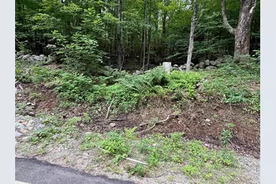Lot #8-33-3 Tyler Road, Webster, NH 03033 - Photo 4