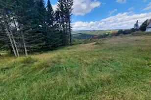 117 Daniel Beard Rd, Pittsburg, NH 03592 - Photo 10