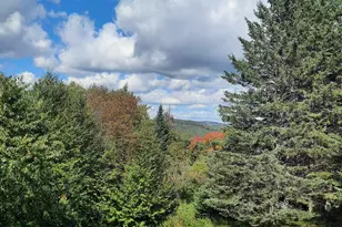 117 Daniel Beard Rd, Pittsburg, NH 03592 - Photo 8