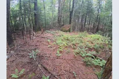 14-257 Garfield Road #N-6 Sec2, Washington, NH 03280 - Photo 4