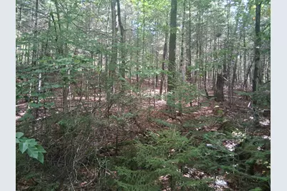 14-257 Garfield Road #N-6 Sec2, Washington, NH 03280 - Photo 2