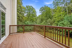 98 Webster Ln, Chester, NH 03036 - Photo 50