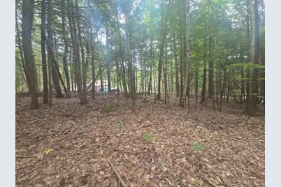 Map 09 Lot 30 Gould Pond Road, Hillsboro, NH 03244 - Photo 10
