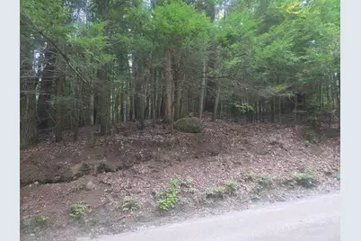 Map 09 Lot 30 Gould Pond Road, Hillsboro, NH 03244 - Photo 2