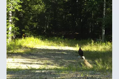 5 Squam River Landing, Ashland, NH 03217 - Photo 12