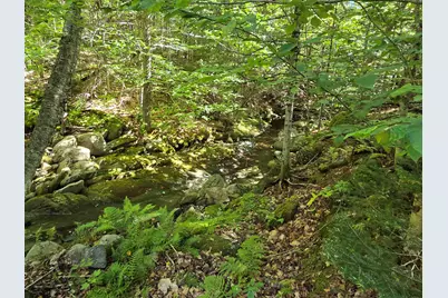 382 Cardigan Mountain Road, Orange, NH 03741 - Photo 38