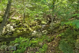 382 Cardigan Mountain Rd, Orange, NH 03741 - Photo 38
