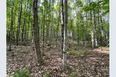 Map 17 Lot 31 River Road, Bath, NH 03740 - Photo 16