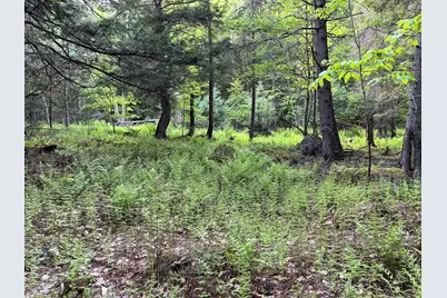 Map 17 Lot 31 River Road, Bath, NH 03740 - Photo 24