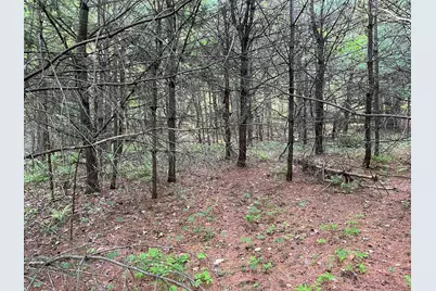 Map 17 Lot 31 River Road, Bath, NH 03740 - Photo 22