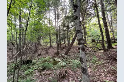 Map 17 Lot 33 River Road, Bath, NH 03740 - Photo 26