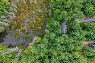 12 Burgdorf Dr, Madison, NH 03849 - Photo 36