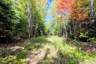 255 Gray Rd, Columbia, NH 03576 - Photo 50