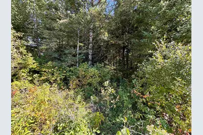 Tbd US Route 3, Columbia, NH 03576 - Photo 6