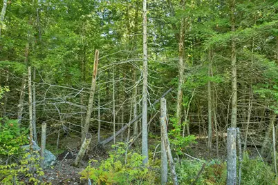 Rogers Road #347A, Barnstead, NH 03225 - Photo 26